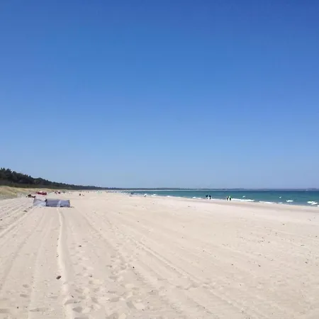 Urlaub Fewo Precise Rugen Hunde Willkommen